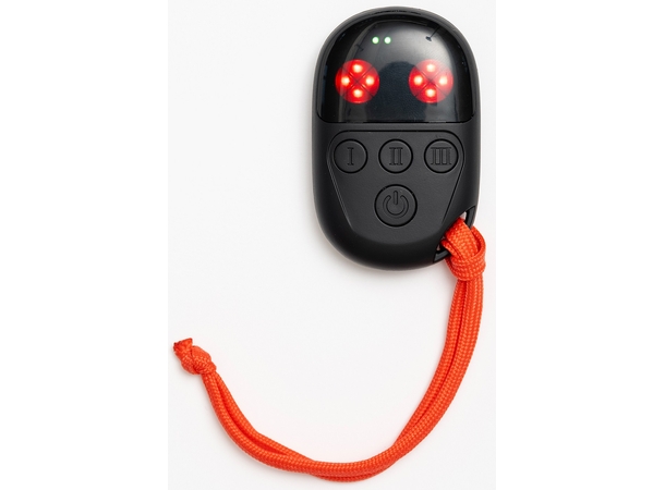 HeatX Heated Remote Insoles V2 L Red - EU41/43 